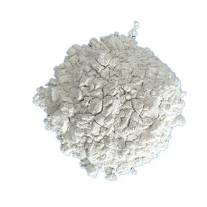 Polvere di Diatomite / Mattoni Isolanti in Diatomite ad Alta Resistenza Termica Standard Refrattario al Miglior Prezzo - Product Image 1