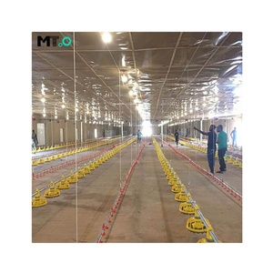 Chất lượng tốt nhất giá tốt tự động Gà Thịt gà tầng cho ăn Hệ thống thiết bị cho Nigeria - Product Image 2