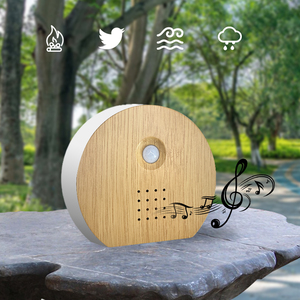 Custom PIR <strong>Motion</strong> <strong>Sensor</strong> Activated Voice Player Infrared Human Body <strong>Motion</strong> Detection Bird Chirping Sound Pre-record White Noise - Product Image 1