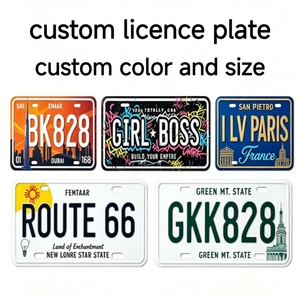 Placas de Matrícula Personalizadas Baratas con Temática de <span class=keywords><strong>Francia</strong></span>, Placas Decorativas Personalizadas, Adhesivos Decorativos para Automóviles - Product Image 5