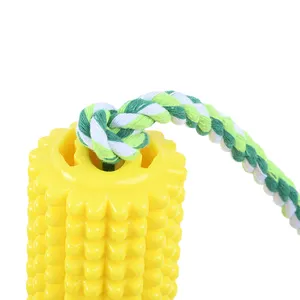 Timed Second Kill Pet Dog Chew Toys Are Long-lasting And Fun Pets