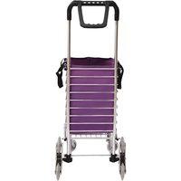 Chariot de supermarché pliable Chariot d'escalade urbain Panier d'épicerie Blanchisserie Shopping Handcart Chariot à roulettes portable en acier inoxydable