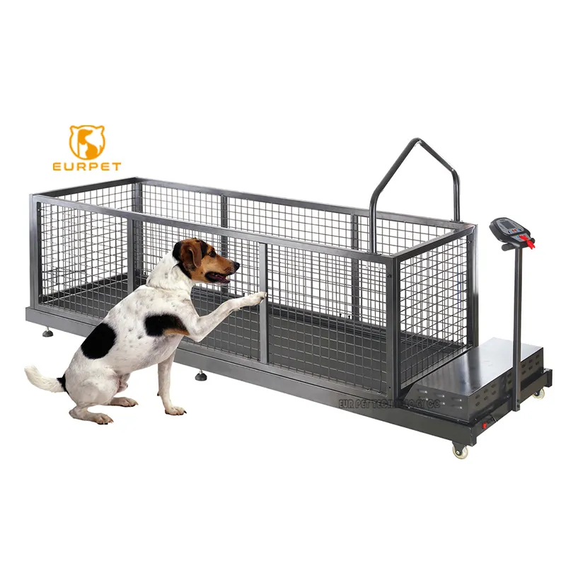 EURPET Hot Sale Hundes port ausrüstung für Haustier übungen und Gewichts verlust Hunde training Laufband für mittlere und große Hunde