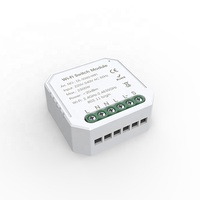 Módulo de interruptor inteligente con Wifi, 16A, 10A, compatible con smart life, APP, control remoto, relé de voz, temporizador, Google Home, Alexa