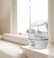 Machine à brouillard, veilleuse pour enfants, humidificateur à ultrasons à brume fraîche, fonctionnement silencieux, arrêt automatique, plastique, sur table, garantie 1 an