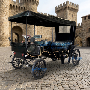 Calèche royale électrique de haute qualité, style Princesse Citrouille, simple, double fonction, pour la visite touristique et les mariages, traînée par des chevaux - Product Image 5