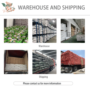 Qingchun工場卸売カスタマイズ調理有機クミン種子スパイス天然乾燥クミン - Product Image 4