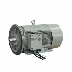 1092090481 1092090381 55kw atlas copco air compressor peças sobressalentes motor para compressor GA55 GA75