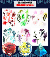 Kit d'art en résine époxy cristal clair pour débutants, résine époxy 16oz avec paillettes, fleur séchée, moule en Silicone pour l'artisanat d'art DIY