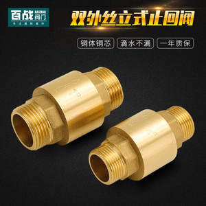 Válvula de Retención de Agua Directa de Cobre de 4/6/1 Pulgadas, Vertical, Unidireccional, Estructura de Bola, Válvula Roscada para Bomba de Agua con Resorte - Product Image 3