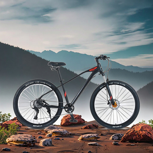 12-Tốc Độ 29/27.5 MTB Xe Đạp Leo Núi Cho Người Lớn Với Dầu Đĩa Phanh & Bình Thường Đạp Nhôm Hợp Kim Ngã Ba OEM & ODM Có Sẵn - Product Image 1