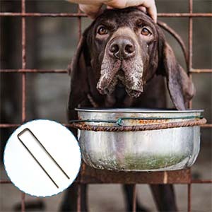 Vườn cảnh quan vải pins U hình SOD <span class=keywords><strong>STAPLE</strong></span> - Product Image 4