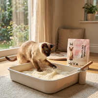 Litière pour chat MIYA biodégradable, parfumée aux fruits, hautement absorbante, sans poussière, à base de manioc, 1 kg, 1,25 kg, 5 kg, pour plusieurs chats, vente en gros