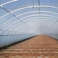 Offre Spéciale grande portée unique serre agricole Tunnel économique PC feuille couverture pour légumes culture cerceau maison