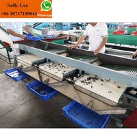 Commerciële Fruit Verwerking Avocado Ui Size Grading Sorteren Machine Tomaat Sorteren Machine