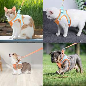 Conjunto de Arnés y Correa para Gatos, Arnés Antiescape para Gatitos, Arnés Transpirable para Perros Pequeños, Correa para Pasear Mascotas, Accesorios para Gatos - Product Image 2