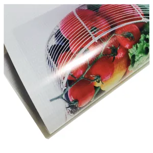 Panaflex-Material de impresión, cartel retroiluminado de PVC para publicidad al aire libre