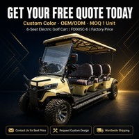 Carrito de Golf Eléctrico de 6 Plazas, Autonomía de 80-100 km, Motor de CA de 4 kW, Asientos Delanteros en 3 Filas, Fabricación OEM
