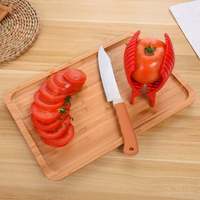 Ecologische handmatige multifunctionele plastic citroen- en tomatenrasp voor ronde fruit en groenten, keukengerei