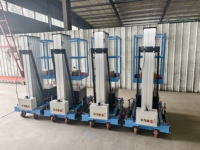 Peralatan Pengangkat Hidrolik Portabel SJYL0.1 9 Struktur Aluminium Alloy Tiang Ganda 100kg Platform untuk Operasi Udara
