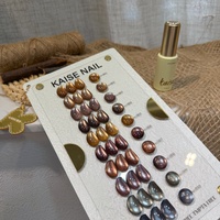 Ensemble de vernis à ongles en gel UV œil de chat brun à 10 couleurs avec liquide magnétique, formule végétalienne non toxique, utilisation en salon