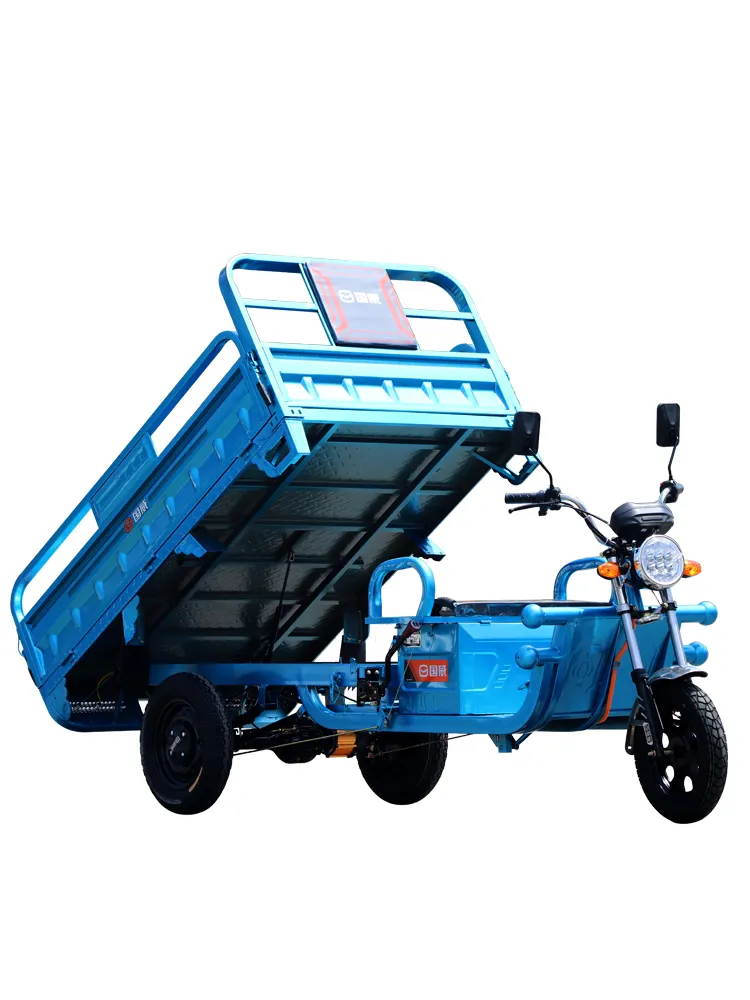 1000W Electro-tricycle Three Wheel Electric Transport Vehicle Made In China