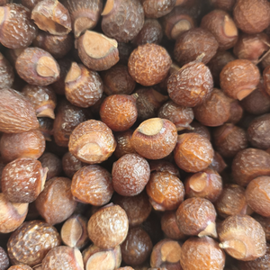 Wu Huan Zi, Hierbas de Alta Calidad, Productos Alimenticios Saludables, Eliminan la Mucosidad, Alivian la Indigestión, Eliminan Parásitos - Product Image 4