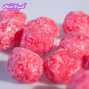 Het Gevriesdroogde Snoep Superzure Bessen Met Suiker Gecoate Bessen Gummy Candy