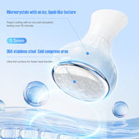Herramientas para el Cuidado de la Piel, Palitos Criogénicos Blancos, Rodillo de Hielo de Acero Inoxidable para Lifting Facial, Gua Sha en Forma de Corazón, Esferas de Hielo para la Cara