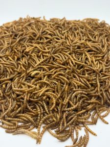 Vermi Essiccati Originali di Fabbrica all'Ingrosso, Alimento ad Alto Contenuto Proteico per Gattini, Cuccioli, Pesci d'Acquario e Uccelli Selvatici - Product Image 1
