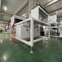 Intelligente Automatische Bandkoffie Fruitvorm Kleur Sorterende Machine Koffiekersen Separator Optische Sorteermachine Hoge Nauwkeurigheid 2-3 T/H