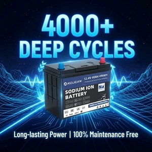 Batería de Iones de Sodio de 12.4V 40Ah con Celdas SIB para Arranque de Automóviles - Product Image 3
