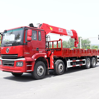 Camión de Carga Pesada Shacman 8x4 con Grúa Hidráulica de 14 Toneladas, Motor Weichai, Monitoreo Remoto, al Mejor Precio