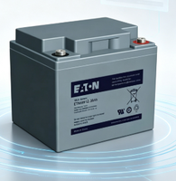 Batterie UPS Eaton ETNHW12-38AH 12V 38AH sans entretien et scellée
