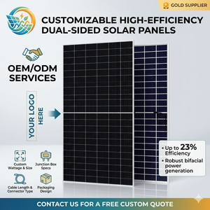 Panel <span class=keywords><strong>Solar</strong></span> Bifacial de Doble Vidrio Tipo N de 550W-720W, 23.2% de Eficiencia, Precio al por Mayor de Sky <span class=keywords><strong>Solar</strong></span>, Servicio OEM - Product Image 1