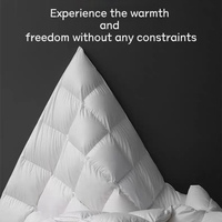 Couette d'été matelassée confortable taille King, respirante et rafraîchissante, 500g, mélange coton-polyester, stérilisée, sans odeur, OEM