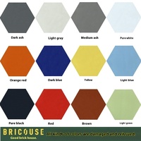 Sol et mur de carrelage de couleur brique hexagonale blanche antidérapante de conception moderne nordique pour la cuisine et la salle de bain