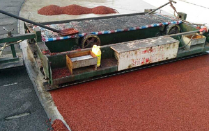 Pavé de voie en caoutchouc 2500mm asphalte monté sur camion <span class=keywords><strong>bitume</strong></span> machine d'épandage de voie en plastique pour aire de jeux - Product Image 6