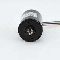Motor DC Gear Brushless 12v 24v 10w Daya Rendah Kecepatan Tinggi 5000rpm 6000rpm Torsi Rendah 20mnm dengan Sertifikasi CE RoHS, Total 500+ Ulasan