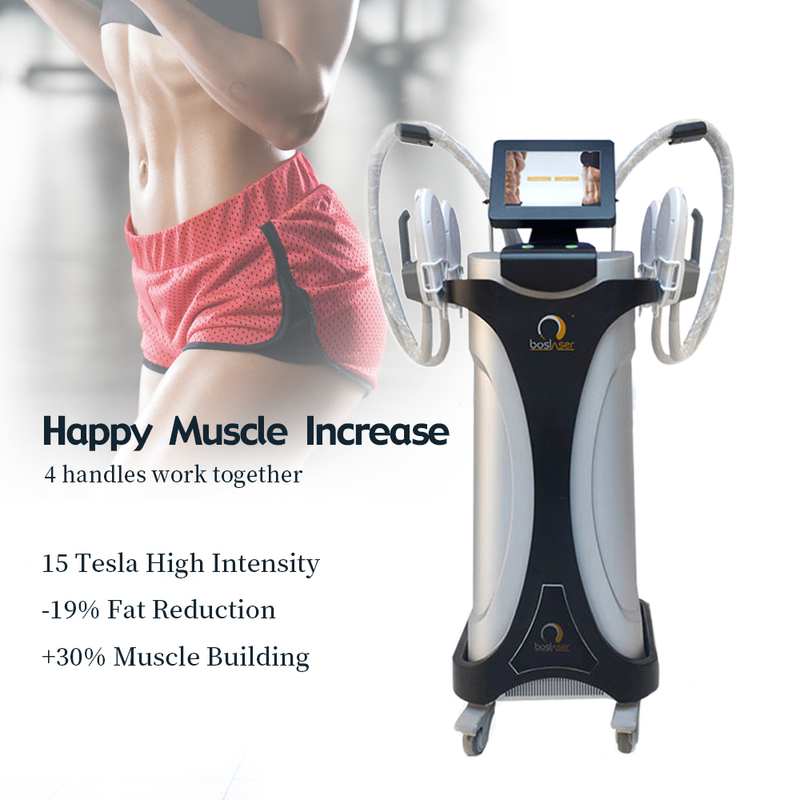 CE Certified Fat Burning Body Shaping