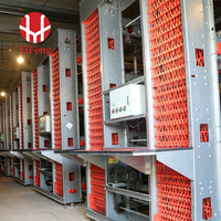 Système de cages à poules pondeuses de type H durable pour 200 poules pondeuses, élevage avicole, production commerciale d'œufs