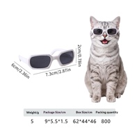 Lunettes de soleil PP à monture carrée irrégulière pour chats et chiens – Style original, accessoire photo – Best-seller transfrontalier