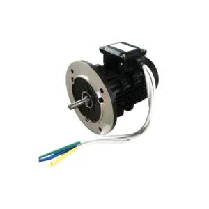 112mm Motor Frame Brushless DC Motor BLDC Motor 72V 5.5KW 1500RPM For Electric Sightseeing Boats