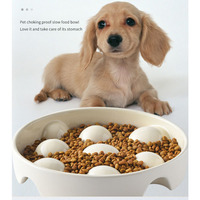 Bol d'alimentation lente en céramique pour animaux de compagnie-Anti-étouffement, antidérapant, design ergonomique pour chiens et chats