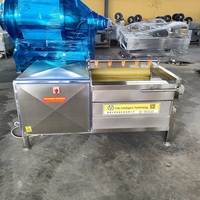 Machine de nettoyage et de pelage de légumes (gingembre, taro), équipement de lavage à brosse rotative, machine de traitement de l'ail, préparation alimentaire