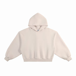 High Quality Spring Casual Boxy Fit Unisex Hoodie Sweatshirt Oversized Pocketless Simple Solid Color Pullover 350 Gsm Hoodie - Product Image 3
