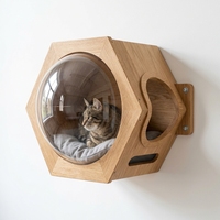Capsule spatiale hexagonale de luxe pour chat, nid mural en bois massif, maisonnette pour chat avec emballage en carton, toutes saisons, pour chats d'intérieur