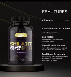 Biocaro OEM Shilajit Gummies With Rich In Minerals Vitamins Shilajit Resin Pure Himalayan For Energy Support And Brain Memory