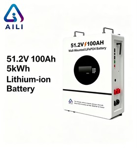 Batteria LiFePO4 51.2V 100Ah 5kWh Impilabile e Divisibile IP65 da Parete 5000W CAN All-in-One Ibrida per Accumulo Energetico Domestico Solare - Product Image 1