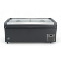 Congélateur coffre ultra basse température 300L pour viande et fruits de mer, 2 étoiles, sans givre, 2 portes